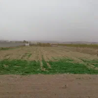 باغ-زمین-کشاورزی-ینگی-کند