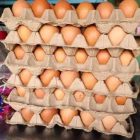 تخم مرغ محلی