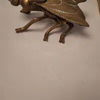 مگس