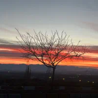 عکاسی فیلمبرداری خانم دیجی ارکست دف نواز حرفه ای