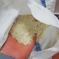 برنج دم سیاه 17 کیلو|خوردنی و آشامیدنی|مینودشت, |دیوار