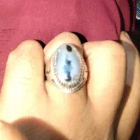 شجر تک درخت