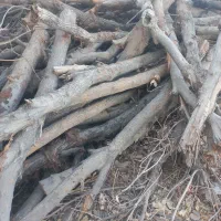 فروش چوب