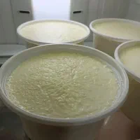 ماست گوسفندی درجه یک هر یک کیلو ۲۰۰تومان