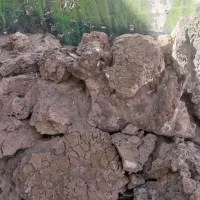 سنگ آکواریوم بزرگ|ماهی|کرمان, |دیوار
