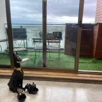 رهن واحدمبله دربرج زیبای ساحلی|اجارهٔ آپارتمان|سرخرود, |دیوار