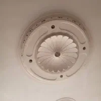 گچکاری وخرده کاری وابزار|خدمات پیشه و مهارت|گلستان (تهران), |دیوار