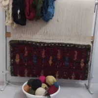 فروش دار قالی