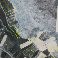 زمین کشاورزی