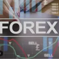 ترید شراکتی با ربات بانکی