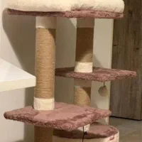 انواع جای خواب پت سگ گربه