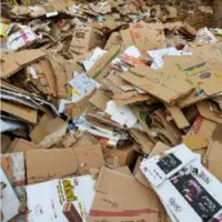 خرید کارتون