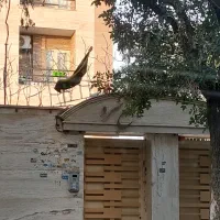 رهن و اجاره سیدین ۳