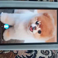 ۱۲۳|تبلت|ساوه, |دیوار