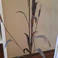 آباژور فرفوژه