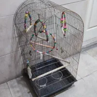 قفس پرنده