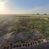 زمین مسکونی دو نبش در میرزاپانگ|فروش زمین و ملک کلنگی|گالیکش, |دیوار