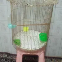 قفس طلایی طرح گل