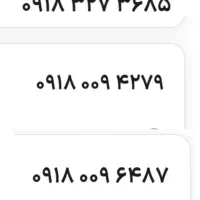 ۰۹۱۸ خط سیم کارت