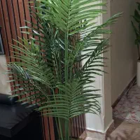 تولیدکننده درختچه مصنوعی وارداتی لمسی چرمی|گل مصنوعی|تهران, تهرانسر شمالی|دیوار