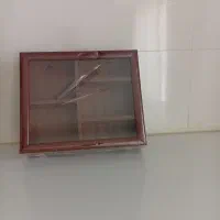 تی بگ