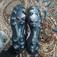 کفش چمن|کیف، کفش، کمربند|تربت جام, یحیی آباد|دیوار