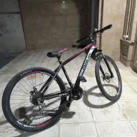 دوچرخه دنده ای 24