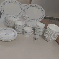سرویس ارکوپال امارات