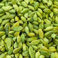 فروش هل اکبر بنفش خالص پلمپ (۹.۵۰۰کیلویی) زعفران