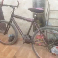 دوچرخه۲۴