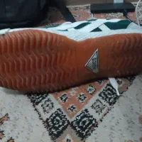 کتونی اسیکس تایگر رانینگ سالنی|کیف، کفش، کمربند|تهران, جوادیه تهرانپارس|دیوار