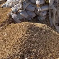 سلام خریدار پوست پسته در هر تناژ به صورت نقدی