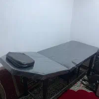 تخت سالنی