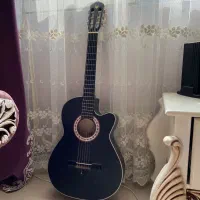 گیتار مارک دیاموند