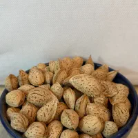بادام پوست کاغذی سامان (بهترین بادام ایران)