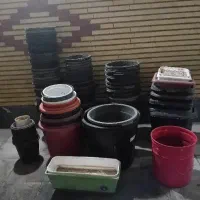 گلدان پلاستیکی