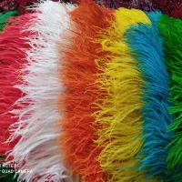 پر علامت شاه پر