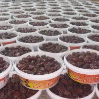 خرماو رطب و خمیر