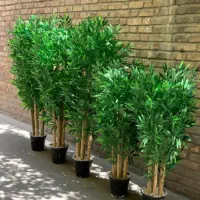 مونتاژ انواع درختچه شکوفه بامبو