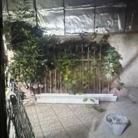 آپارتمان100متر دوبلکس /حیاط اختصاصی /OUSHAN VILLA|اجارهٔ آپارتمان|فشم, |دیوار