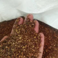 کنجد مغز پر