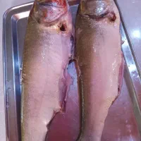 ماهی قزل تازه پاک کرده