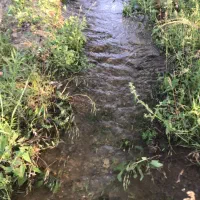 یک ساعت حق آبه از قنات وزیر کهریز