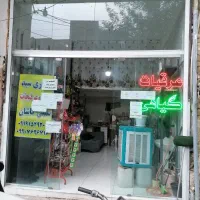 اجاره مغازه