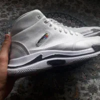 کفش tashion|کیف، کفش، کمربند|اصفهان, باغ فردوس|دیوار