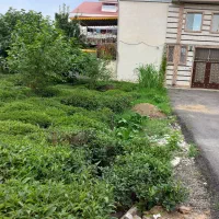 289متر-زمین-شهری