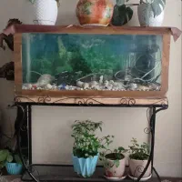 آکواریوم درجه یک