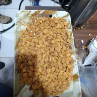 استخدام حسابدار