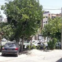 ۲۲۰ متر بر خیابان باهنر رهن و اجاره|اجارهٔ دفتر کار، اتاق اداری، مطب|اصفهان, تیران|دیوار