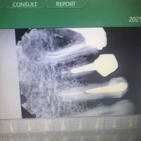 سرمایه گذارم نیاز به دندانپزشک دارم